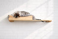 Load image into Gallery viewer, The Cat Nest Bed on a natural wood cat shelf by Catastrophic Creations.

