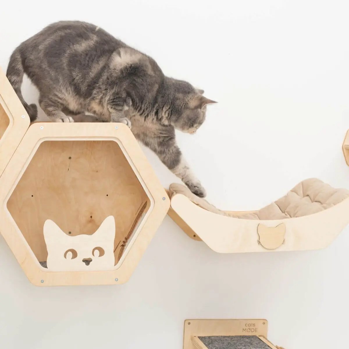 Cat Bed on Wall Light, wooden hexagonal cat condo with curved cushioned bed and a cat perched.