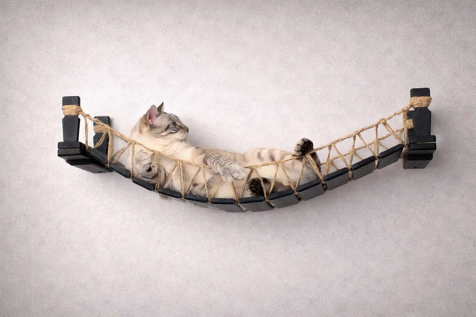 Cat Bridge for Wall, a rope-net hammock with dark wooden posts and a lounging cat.
