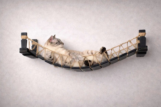 Cat Bridge for Wall, a rope-net hammock with dark wooden posts and a lounging cat.