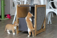 Load image into Gallery viewer, The Grotto short cat tree, a wooden cat condo with sisal panel and grey fabric insert, with two orange cats.
