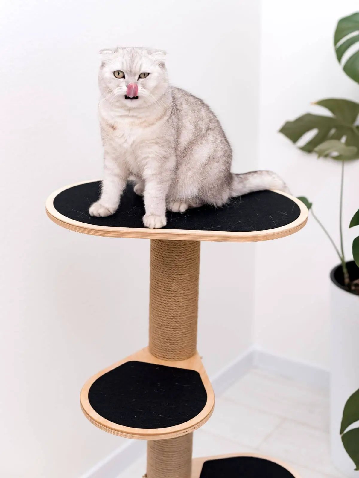 Cat Climbing Tower by Enjoy The Wood B2B; light wood cat tree with black platforms and sisal-wrapped posts.