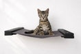 Load image into Gallery viewer, Hanging Cat Bed Hammock with gray fabric and black end plates, cat perched on it.
