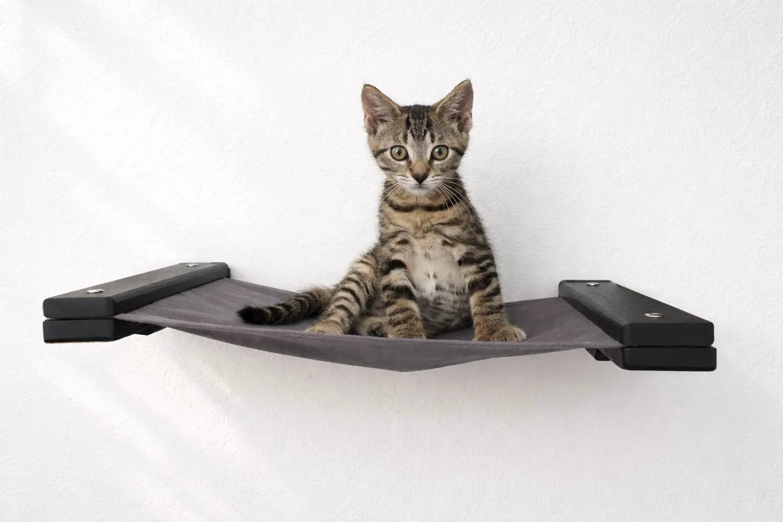 Hanging Cat Bed Hammock with gray fabric and black end plates, cat perched on it.