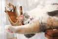 Charger l'image dans la visionneuse de la galerie, Double Cat Hammock and Climbing Bridge Combo cat bridge in natural wood with rope accents, two cats
