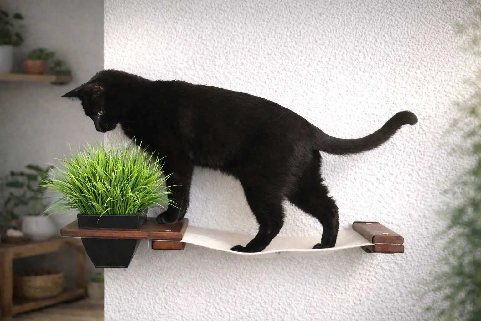 Cat Hammock Wall with Planter, white fabric hammock with wooden brackets and a green plant planter