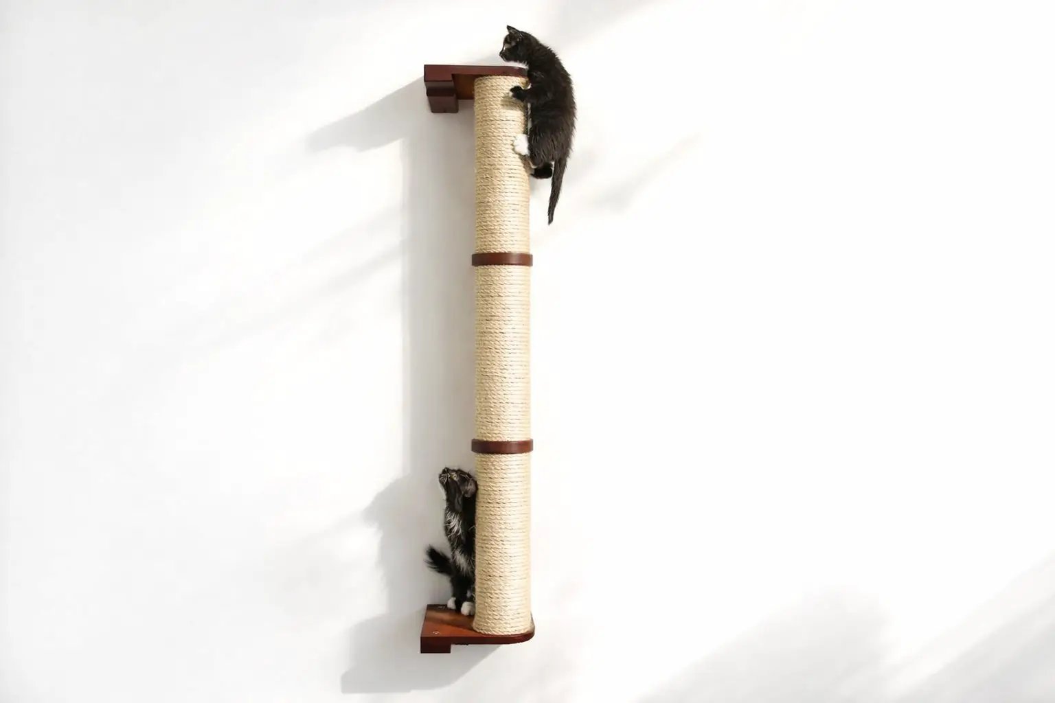 Wall Mounted Cat Climbing Pole, sisal-wrapped with wood mounts; two kittens climbing.