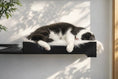 Load image into Gallery viewer, The Cat Nest Bed on a black cat shelf; a white and gray cat naps on white fur lining.
