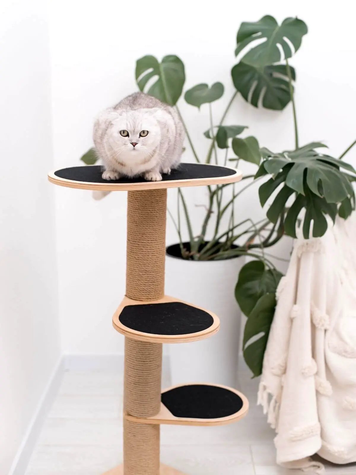 Cat climbing tower with natural wood and black platforms; cat perched on top.