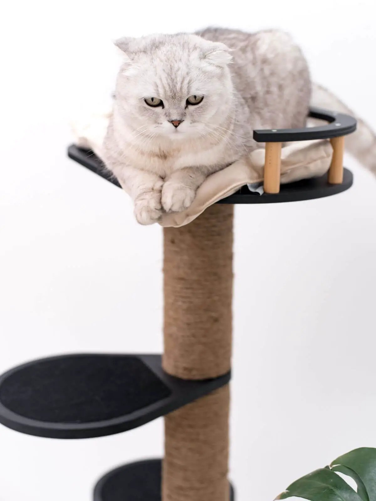 Small Cat Tree by Enjoy The Wood