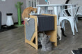 Load image into Gallery viewer, The Grotto cat condo: short wooden cat tree for small spaces with fabric panel, kittens exploring.
