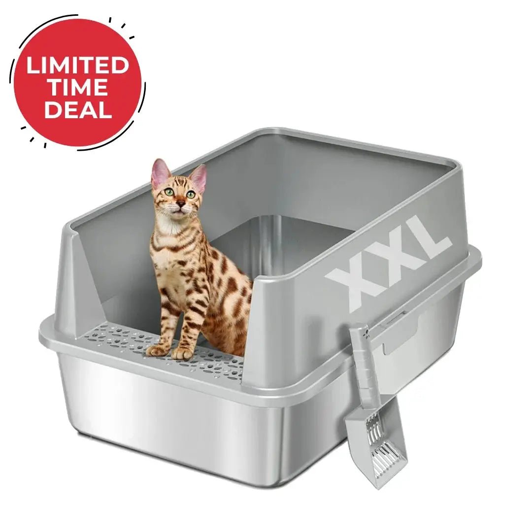 XXL 304 Stainless Steel Cat Litter Box by 4FurBaby