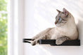 Load image into Gallery viewer, Hanging Cat Bed Hammock by Catastrophic Creations, black wall-mounted cat perch with a light beige cat.
