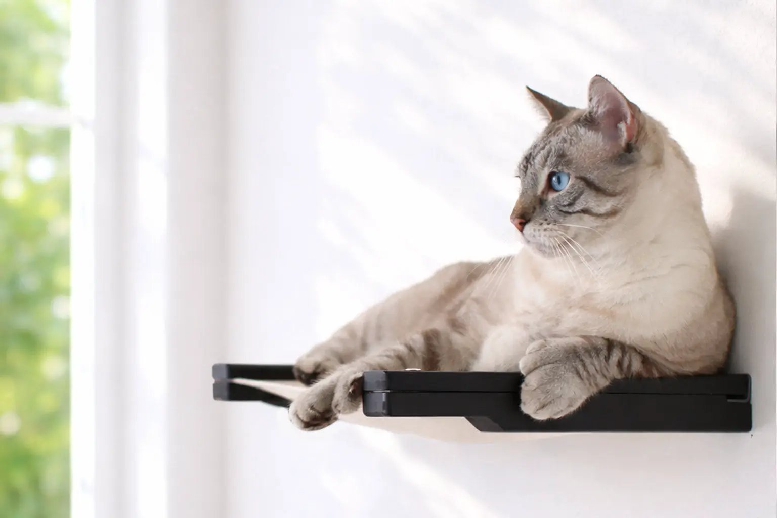 Hanging Cat Bed Hammock by Catastrophic Creations, black wall-mounted cat perch with a light beige cat.