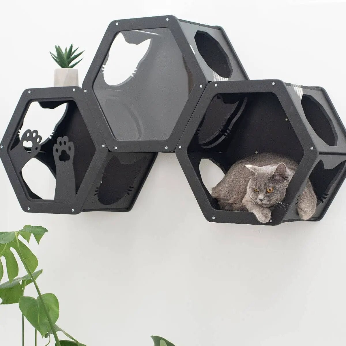 Enjoy The Wood Black Modular Vertical Wall Mount Cat Climbing Shelves by Enjoy The Wood
