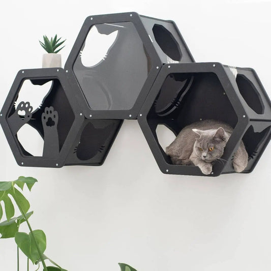 Wall Mount Cat Shelves Black by Enjoy The Wood B2B; 4 hexagonal modular cat shelves with a cat resting inside one unit.