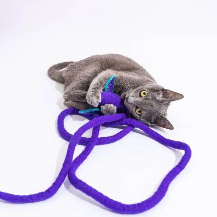 Catch a Mouse by the Tail wool cat toy in purple with green leaves by Cat in the Box LLC