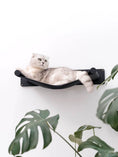 Load image into Gallery viewer, Cat Hammock Shelf by Enjoy The Wood B2B; black fabric hammock mounted on a wall plate.

