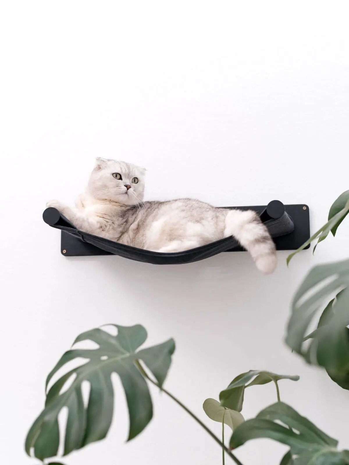 Cat Hammock Shelf by Enjoy The Wood B2B; black fabric hammock mounted on a wall plate.