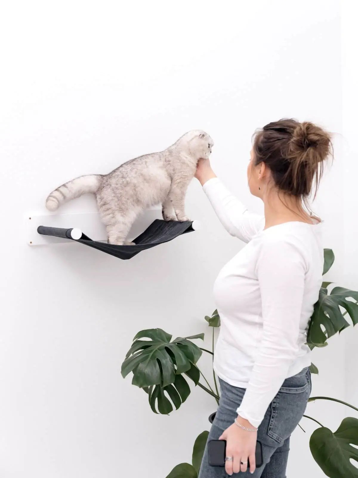 Cat Hammock Shelf mounted on white wall with black fabric hammock; cat on shelf
