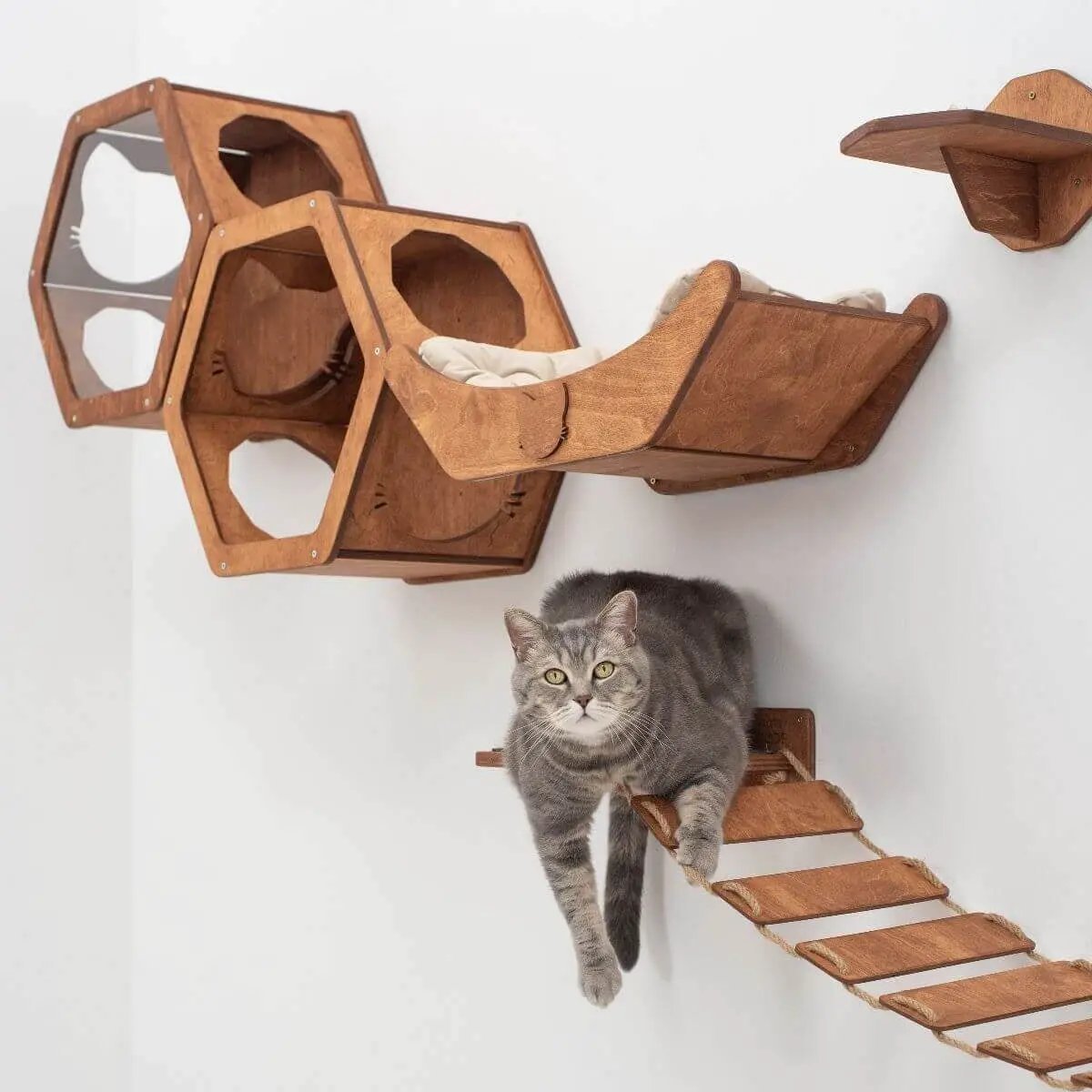 Floating Cat Shelf Perch Oak Wall Mounted Secure Resting Platform by Enjoy The Wood