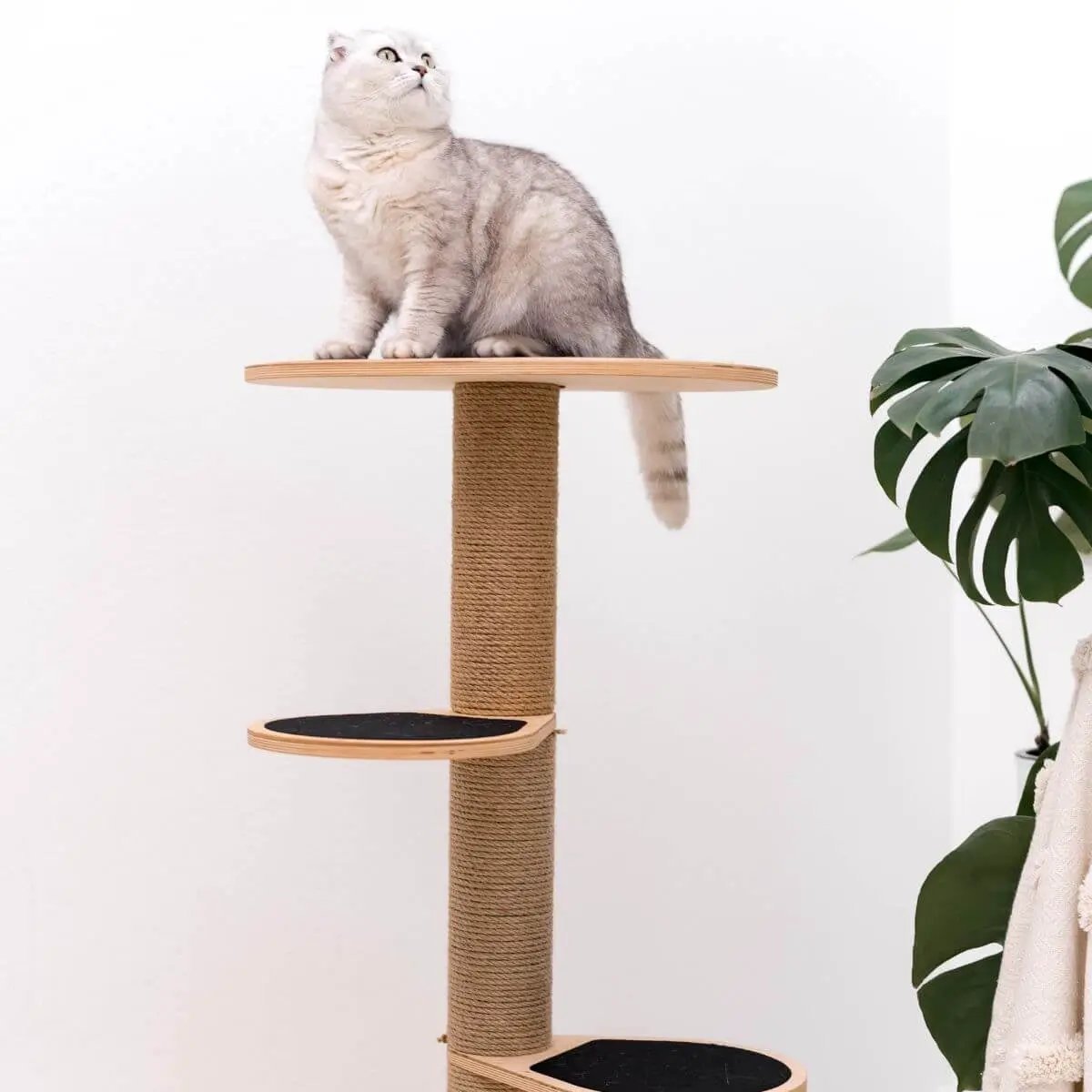 Eco Friendly Compact Cat Tower Sustainable Plywood Climbing Levels by Enjoy The Wood