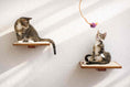 Bild in Galerie-Betrachter laden, Cat Perch wall-mounted wooden cat shelves; two platforms with two cats and orange pom-pom toy.

