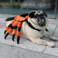 Charger l'image dans la visionneuse de la galerie, Pet Clothes Halloween Spider Pet Costume by My Store, orange and black plush spider legs
