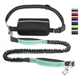 Carica l'immagine nel visualizzatore della galleria, Cross-Border Pet Running Waist Bag With Leash by For Animals, With Love
