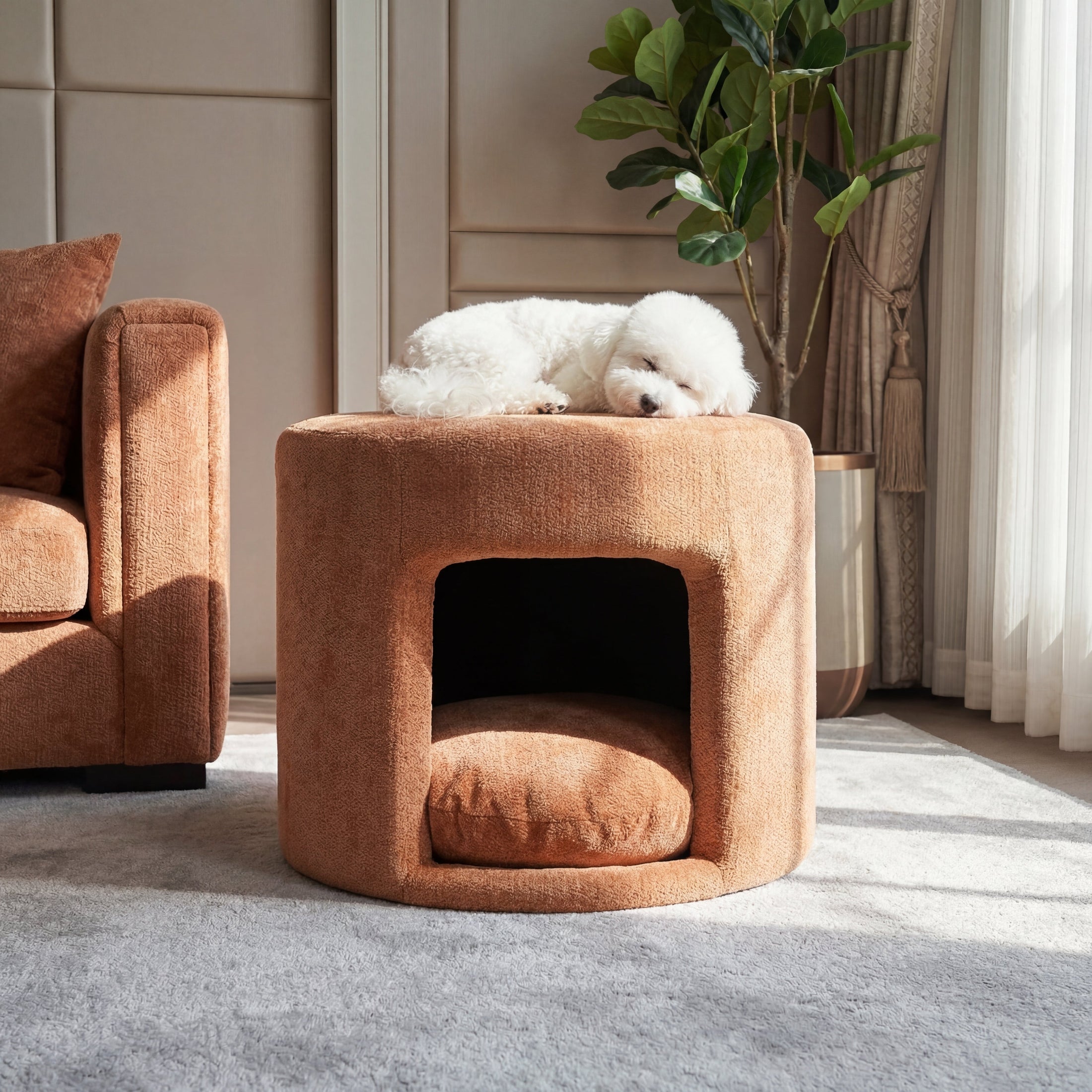 Orange pet-friendly ottoman with removable cushion; dog resting on top by Home Furnishers