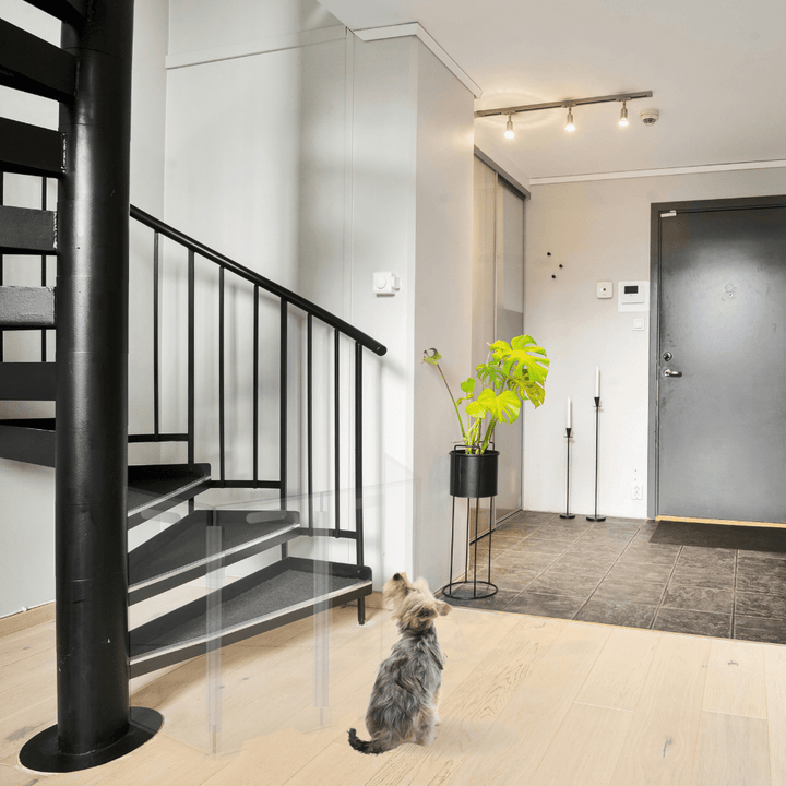 Hiddin Clear Front Pet Gate with Pivoting Side Panels