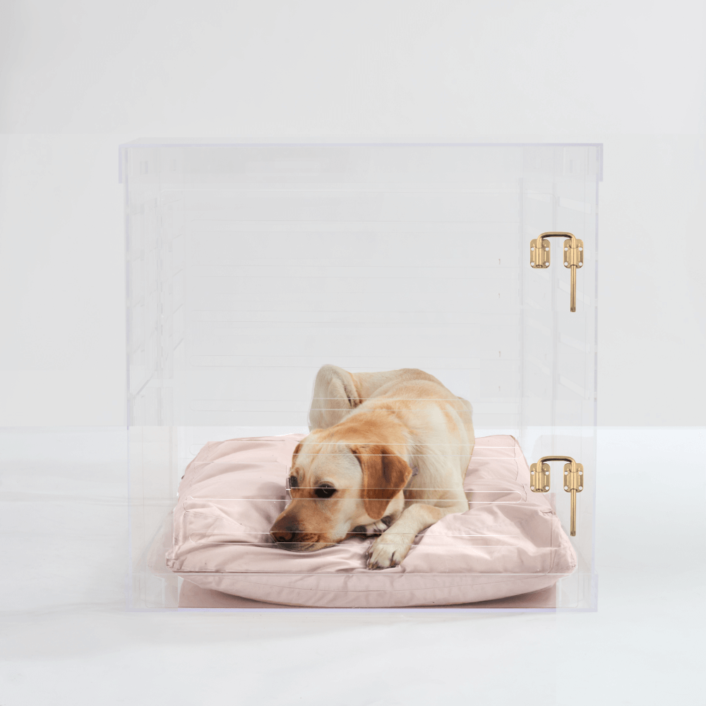 Hiddin Clear Acrylic Dog Crate – Large, Gold Latch