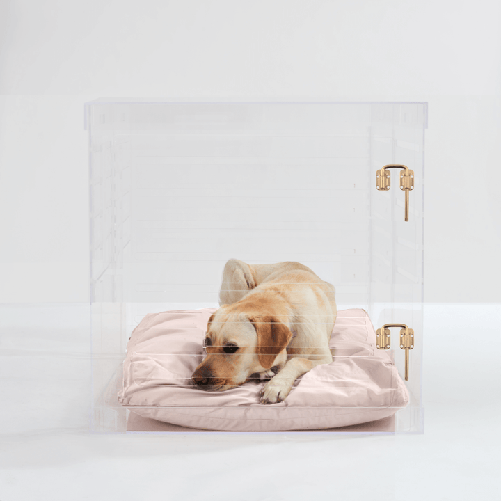 Hiddin Clear Acrylic Dog Crate – Large, Gold Latch
