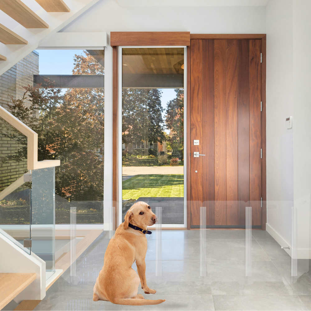 Hiddin Clear Front Pet Gate with Pivoting Side Panels