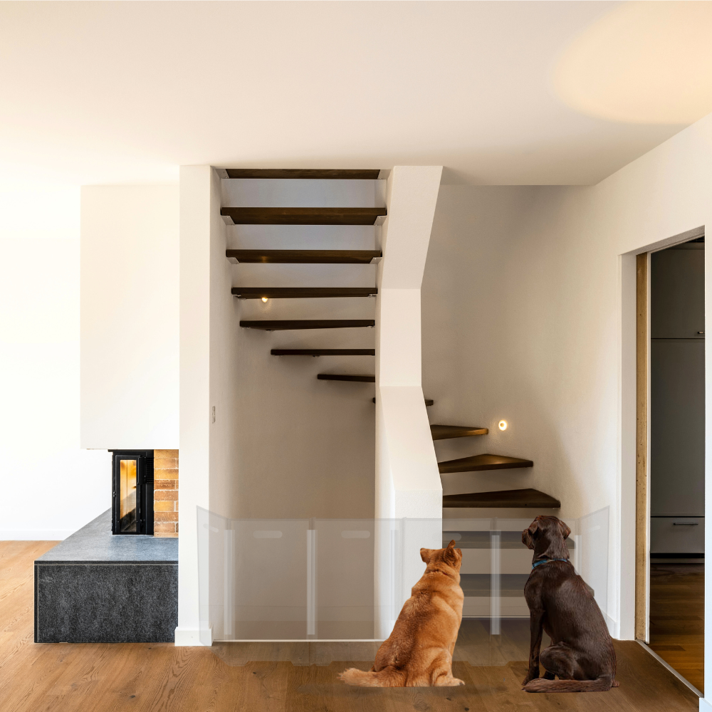 Hiddin Clear Front Pet Gate with Pivoting Side Panels