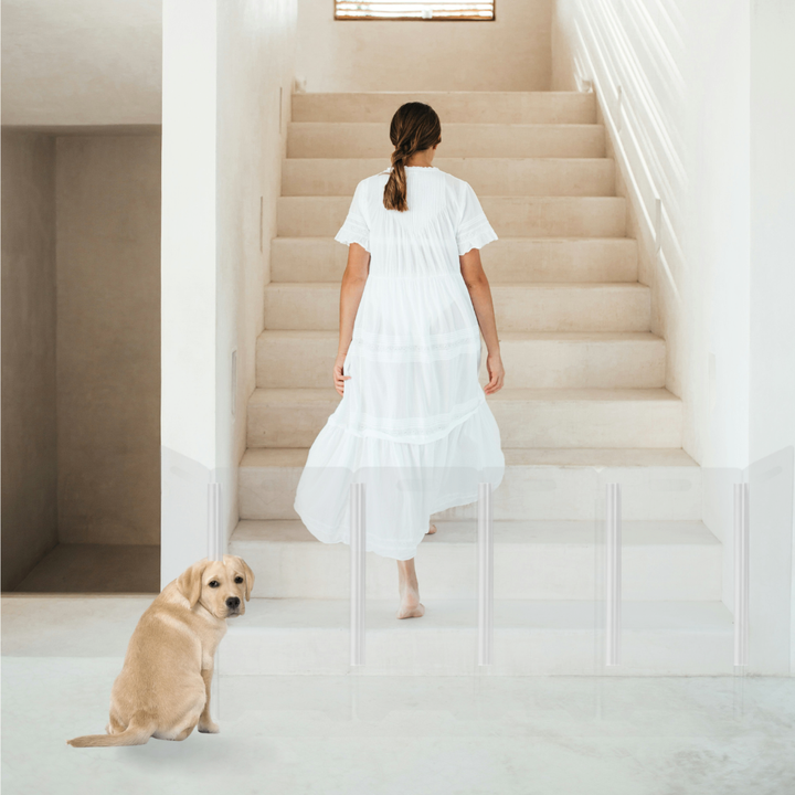 Hiddin Clear Front Pet Gate with Pivoting Side Panels