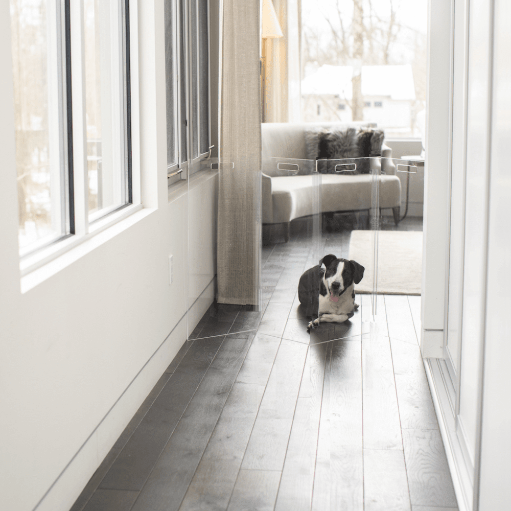 Hiddin Tall Clear Acrylic Zig Zag Pet Gate – Freestanding