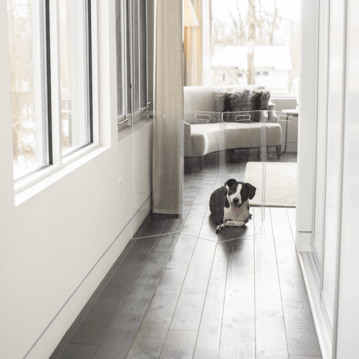 Hiddin Tall Clear Acrylic Zig Zag Pet Gate – Freestanding
