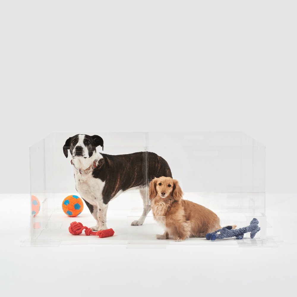 Hiddin Clear Acrylic Step-Over Pet Playpen – 24 in High