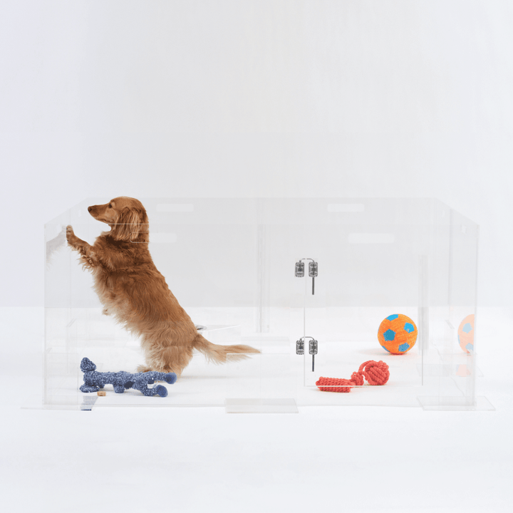 Hiddin Clear Acrylic Pet Playpen with Door – 24 in High