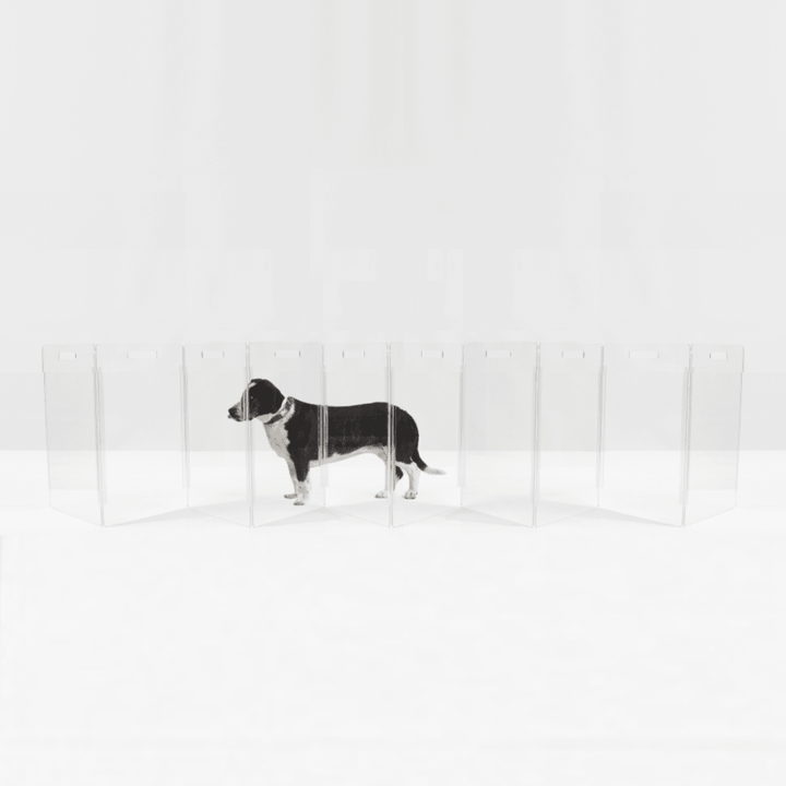 Hiddin Low Clear Acrylic Zig Zag Pet Gate – Freestanding, 24 in High