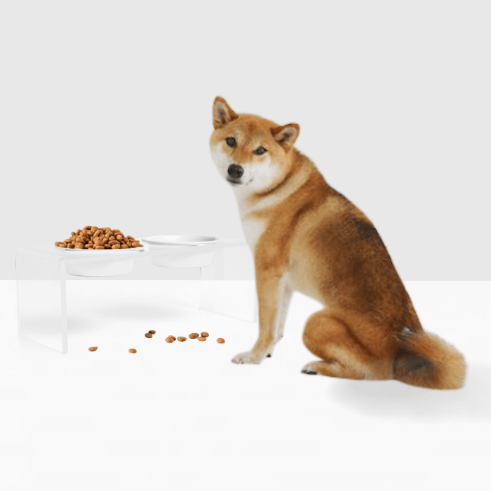Hiddin Clear Acrylic Double Feeder with White Bowls – 7 in High