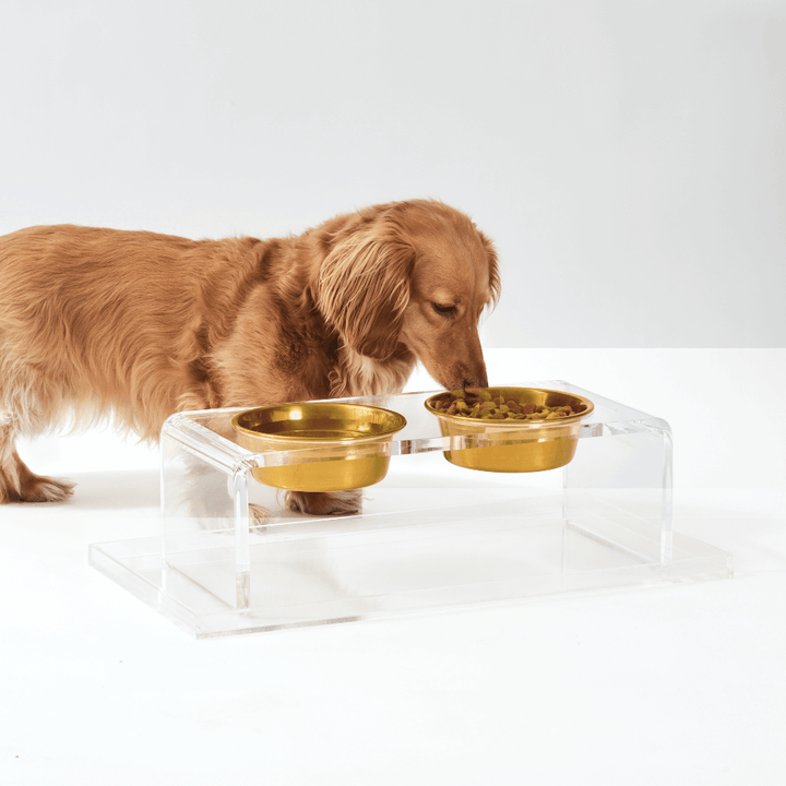Hiddin Clear Acrylic Double Feeder with Gold Bowls – 7 in High