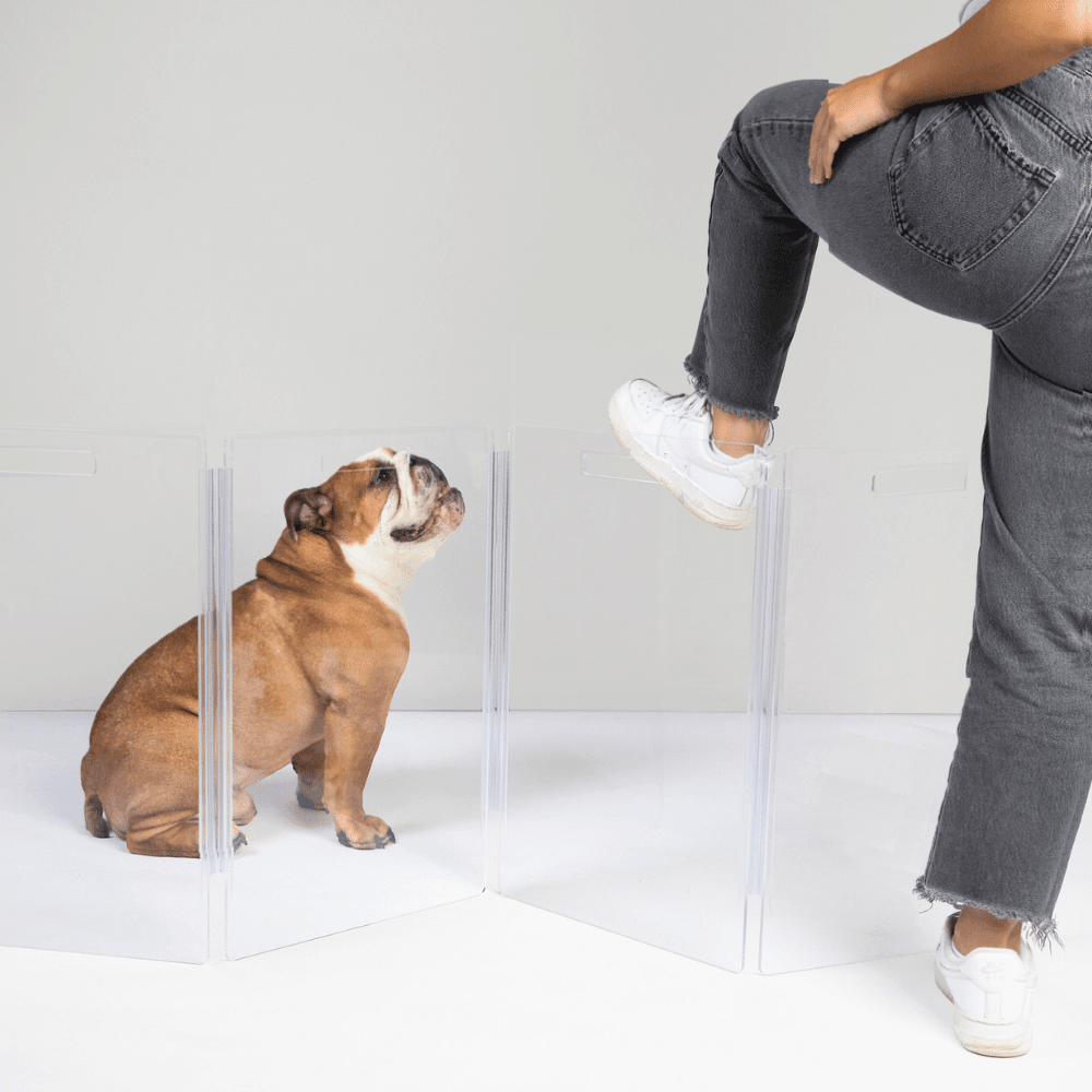 Hiddin Low Clear Acrylic Zig Zag Pet Gate – Freestanding, 24 in High