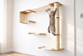Charger l'image dans la visionneuse de la galerie, The Climb Condo cat wall climbing system by Catastrophic Creations, featuring a rope-wrapped post and wooden platforms.
