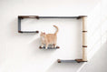 Charger l'image dans la visionneuse de la galerie, The Climb Condo cat wall climbing system by Catastrophic Creations; blue-gray platforms and a sisal-wrapped column.
