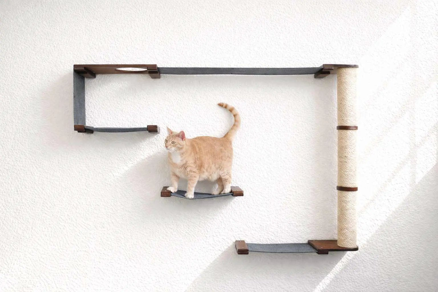 The Climb Condo cat wall climbing system by Catastrophic Creations; blue-gray platforms and a sisal-wrapped column.