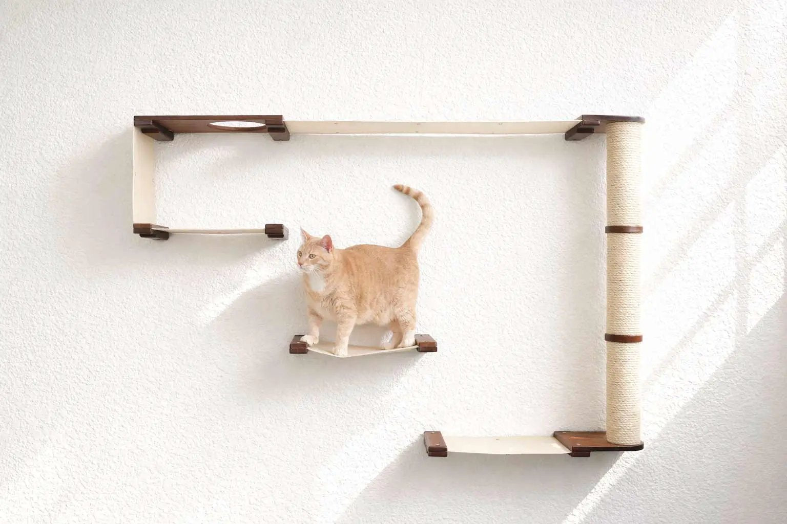 The Climb Condo cat wall climbing system by Catastrophic Creations; beige cat tree with platforms and sisal rope.