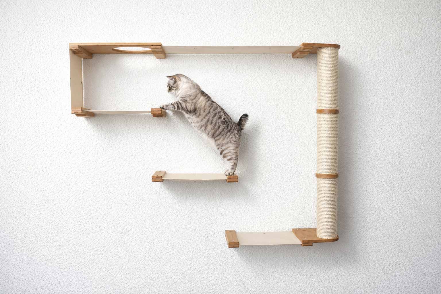 The Climb Condo Cat Wall Climbing System; natural wood platforms with a sisal rope post.