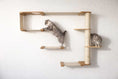 Charger l'image dans la visionneuse de la galerie, The Climb Condo Cat Wall Climbing System by Catastrophic Creations; wood platforms with a sisal post, two tabby cats.
